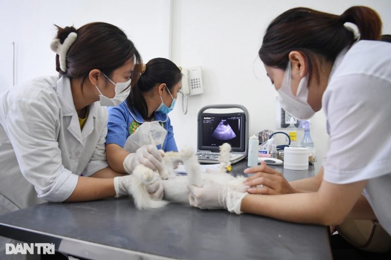 Bệnh viện thú y hiện đại nhất Việt Nam